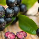 sucul de aronia contraindicatii